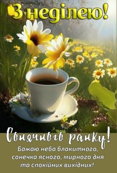 літня картинка доброго ранку неділі