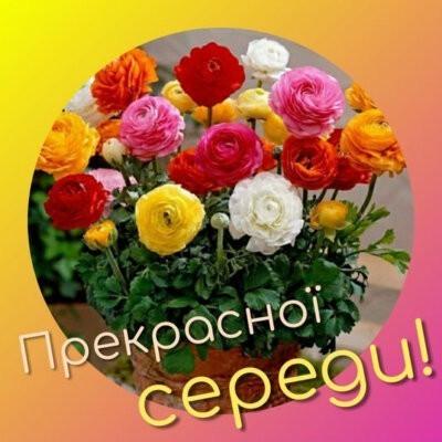 картинка з середою літня