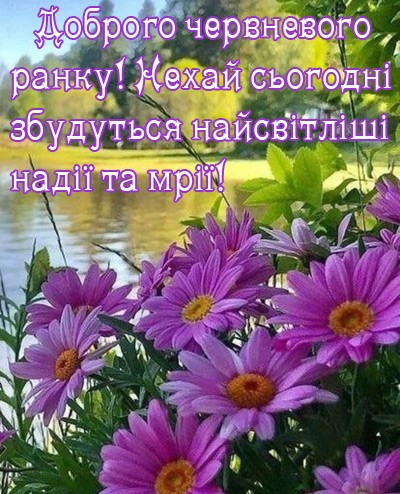 картинка доброго червневого ранку нова красива