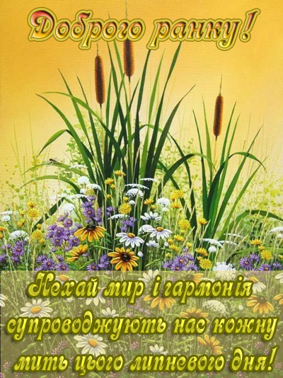 красива картинка доброго ранку липня